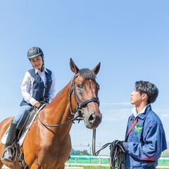 会員制乗馬クラブのお仕事ですの画像