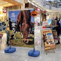 会員制乗馬クラブのお仕事ですの画像