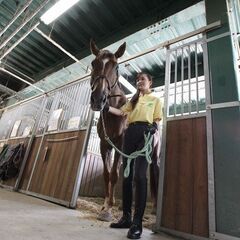 会員制乗馬クラブのお仕事です（馬房清掃）の画像