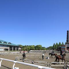 会員制乗馬クラブのお仕事です（馬房清掃）の画像