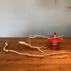 小枝か幻想的なカワイイ流木。