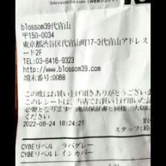 サイベックス　リベル + レインカバー
