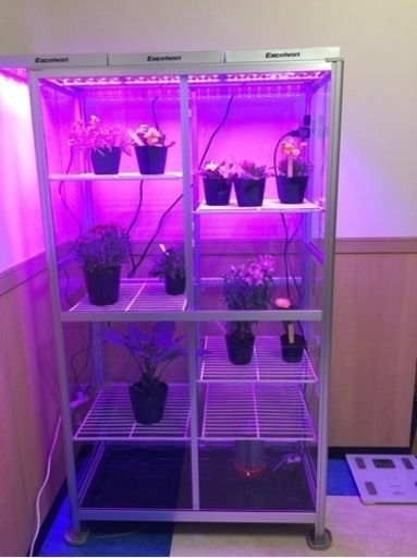 温室栽培ガラスケース