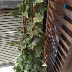 植木イミテーション(交渉中)