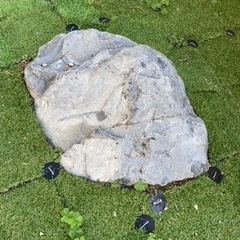 庭石の画像