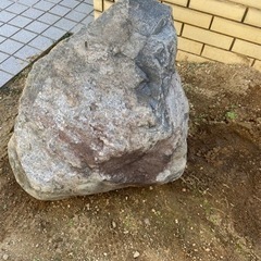 庭石の画像
