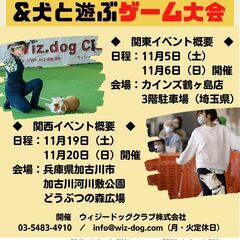愛犬と飼い主さんの華麗なる【ドッグダンス】の祭典！関西ドッグダン...