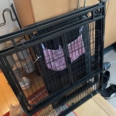 ペットケージの画像