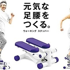 B-SANTE(ビサンテ) 有酸素運動 ウォーキングステッパー ...