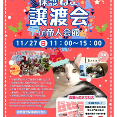 第２２回保護猫譲渡会in帝人会館 - 岩国市