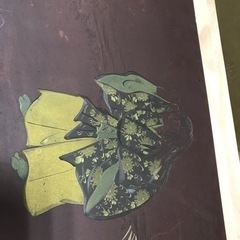 趣味の銅版画の画像