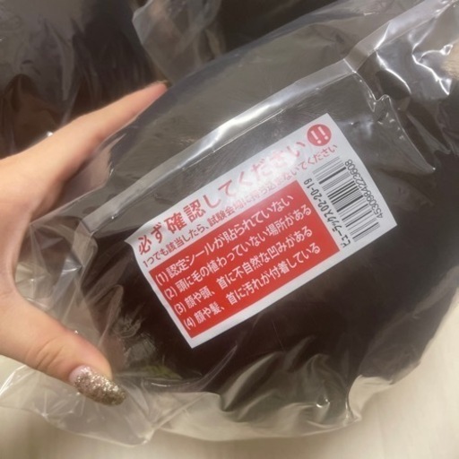 国家試験カットウィッグ