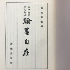 非常に珍しい本の画像