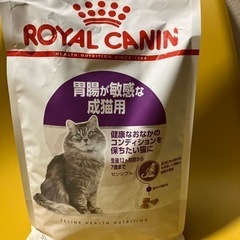 ロイヤルカナン🐈胃腸が敏感な成猫用