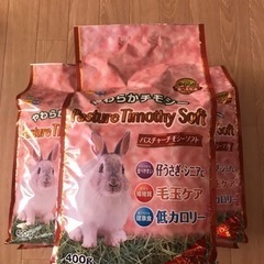 パスチャーチモシー　3袋