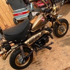 ゴールドモンキー　12v  ノーマル車の画像