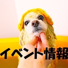 13日　ロックフェスにて！