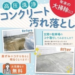 こけとりや