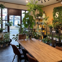 観葉植物に囲まれたカフェ