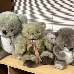 クマのぬいぐるみ