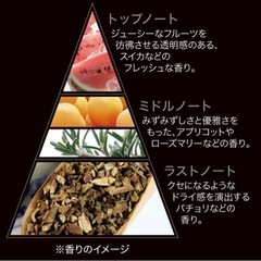 新品！アックス ブラック 男性用 トリートメントミスト (プレスタイリング) 145mlの画像