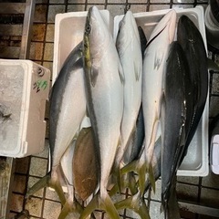 魚探　基板　基盤　修理