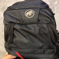MAMMUT LITHIUM ZIP 24Lの画像
