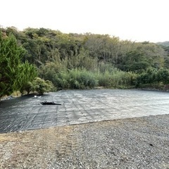 庭木の伐採抜根🌲草刈り🍂リフォームお任せください