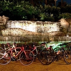 クロスバイク限定、サイクリングサークルメンバー募集 - スポーツ