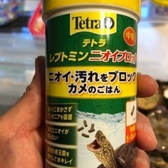 ヨーロッパイエコオロギ2-4cmの画像