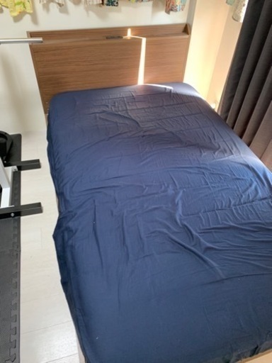 引き取りできる方限定～