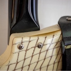 Danelectro ’67 Heaven Hawk Guitar ギターの画像