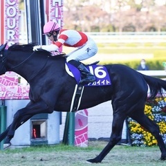 YouTube競馬系