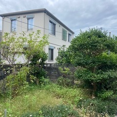 八代市で植木剪定