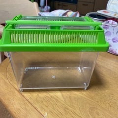 虫かご