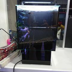 グラステリアAGS230OF 水槽
