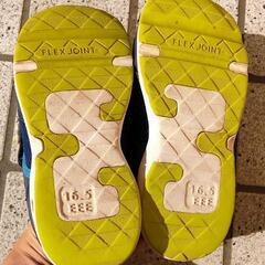 ムーンスター　スニーカー　16.5cmの画像