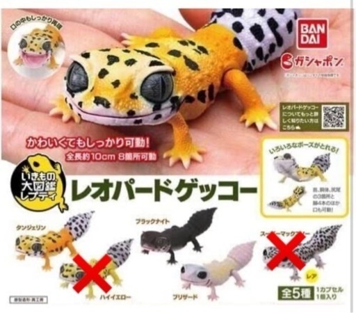 レオパードゲッコー　ガチャガチャ