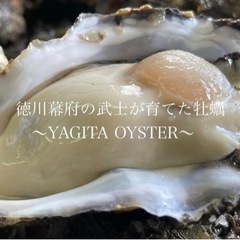 浜名湖のカキ　買い物代行します