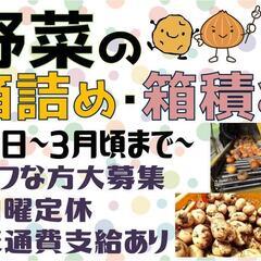 【未経験でも大歓迎！】野菜の箱詰め・箱積み〈北見〉
