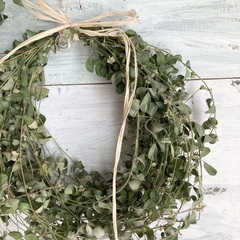 お取引中。お買い得！シンプルリース２個とユーカリミニスワッグ　３点の画像