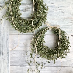 お取引中。お買い得！シンプルリース２個とユーカリミニスワッグ　３点の画像