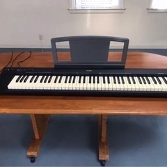 YAMAHA  NP-30 美品