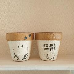 ミニ　鉢　可愛い★の画像