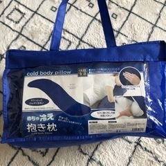 再投稿 ひんやり抱き枕の画像