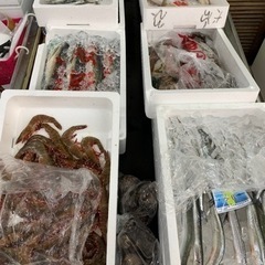 さかなや　鮮魚店　簡単な作業ですの画像