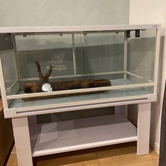 パンテオン9045 ゲージ　爬虫類　小動物の画像