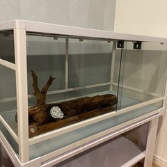 パンテオン9045 ゲージ　爬虫類　小動物