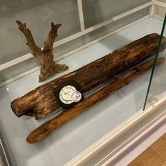 パンテオン9045 ゲージ　爬虫類　小動物の画像