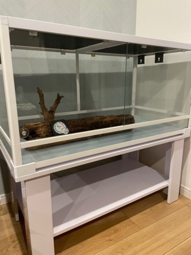 パンテオン9045 ゲージ　爬虫類　小動物